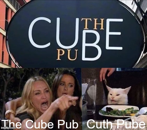 What's this suppose to say ayways? | The Cube Pub; Cuth Pube | image tagged in woman yelling at cat | made w/ Imgflip meme maker