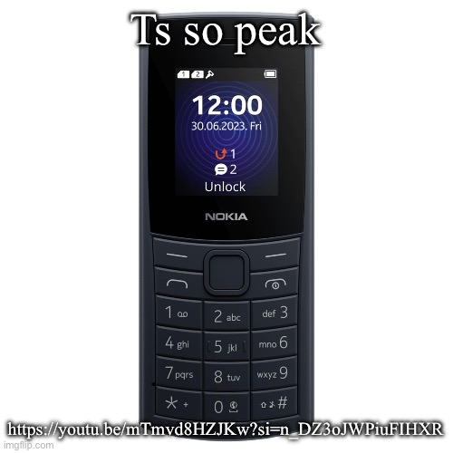 nokia 110 4g | Ts so peak; https://youtu.be/mTmvd8HZJKw?si=n_DZ3oJWPiuFIHXR | image tagged in nokia 110 4g | made w/ Imgflip meme maker