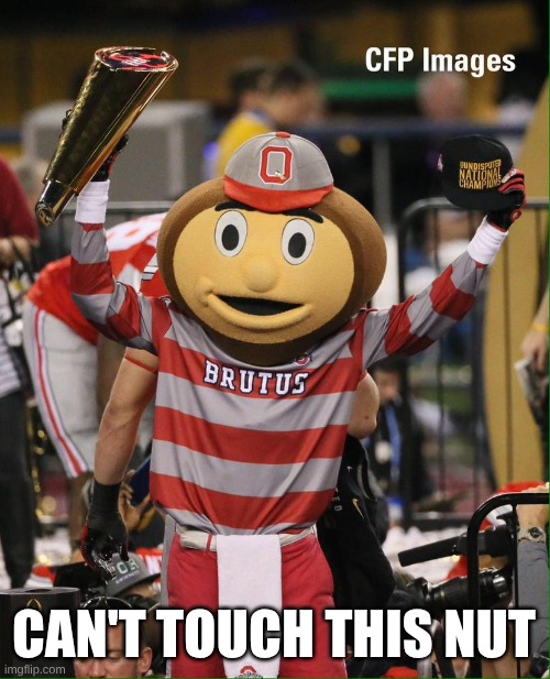 Brutus Buckeye meme | CAN'T TOUCH THIS NUT | image tagged in memes,ohio state buckeyes,college football,football,ohio state,mascots | made w/ Imgflip meme maker
