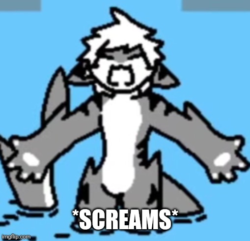 Tiger Shark rage | *SCREAMS* | image tagged in tiger shark rage | made w/ Imgflip meme maker