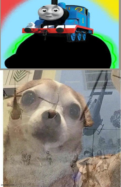 someone just kill me | image tagged in ptsd chihuahua | made w/ Imgflip meme maker
