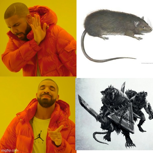 I will always see rats differently | image tagged in memes,drake hotline bling | made w/ Imgflip meme maker