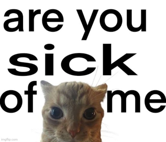 Huhhhhhhhh | made w/ Imgflip meme maker