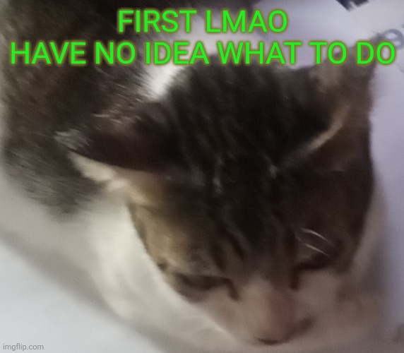 Ming mong | FIRST LMAO
HAVE NO IDEA WHAT TO DO | image tagged in ming mong | made w/ Imgflip meme maker