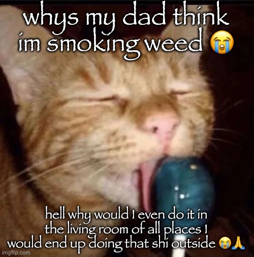 silly goober 2 | whys my dad think im smoking weed 😭; hell why would I even do it in the living room of all places I would end up doing that shi outside 😭🙏 | image tagged in silly goober 2 | made w/ Imgflip meme maker
