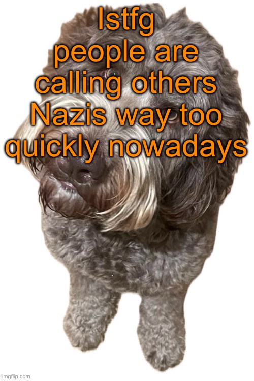 Democrats, republicans, furries, anti-furries, all have braindead shitheads among them who call others Nazis with zero reasoning | Istfg people are calling others Nazis way too quickly nowadays | image tagged in norther's dog | made w/ Imgflip meme maker