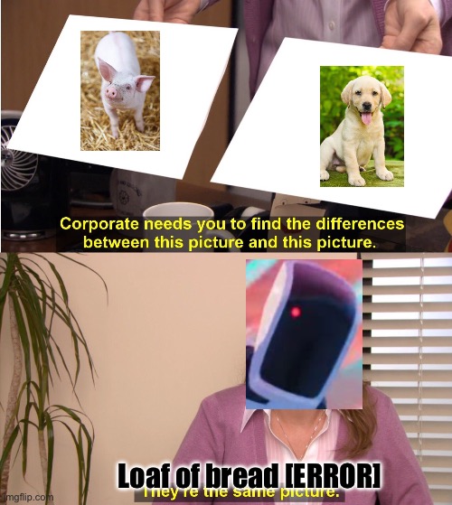 Dog pig dog pig loaf of bread (those who know) | Loaf of bread [ERROR] | image tagged in memes,they're the same picture | made w/ Imgflip meme maker