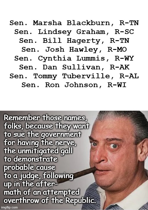 "If you haven't done anything wrong, what's the problem?" | Sen. Marsha Blackburn, R-TN
Sen. Lindsey Graham, R-SC
Sen. Bill Hagerty, R-TN
Sen. Josh Hawley, R-MO
Sen. Cynthia Lummis, R-WY
Sen. Dan Sullivan, R-AK
Sen. Tommy Tuberville, R-AL
Sen. Ron Johnson, R-WI; Remember those names,
folks, because they want
to sue the government
for having the nerve,
the unmitigated gall
to demonstrate
probable cause
to a judge, following
up in the after-
math of an attempted
overthrow of the Republic. | image tagged in blank white template,rodney dangerfield,january 6th,insurrection | made w/ Imgflip meme maker