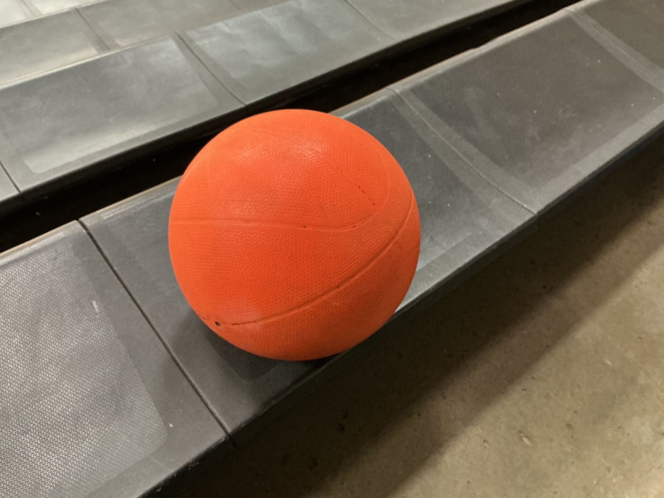 basketbald Blank Meme Template