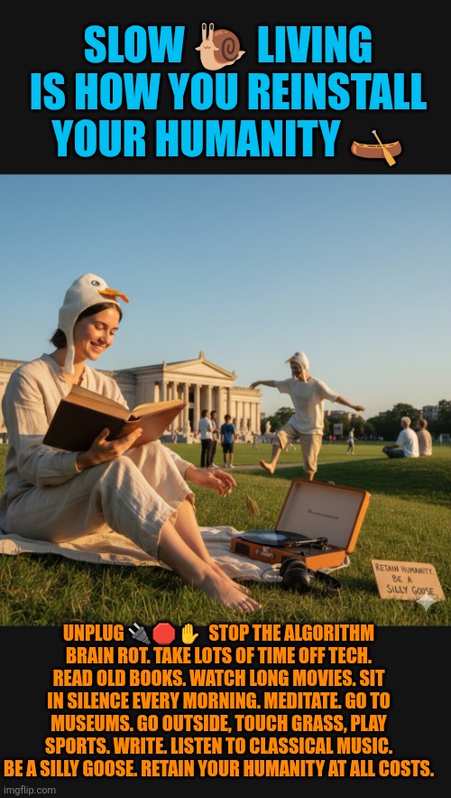 Unplug,  slow living, restore humanity and heal | SLOW 🐌 LIVING IS HOW YOU REINSTALL YOUR HUMANITY 🛶; UNPLUG 🔌🛑✋️  STOP THE ALGORITHM BRAIN ROT. TAKE LOTS OF TIME OFF TECH. READ OLD BOOKS. WATCH LONG MOVIES. SIT IN SILENCE EVERY MORNING. MEDITATE. GO TO MUSEUMS. GO OUTSIDE, TOUCH GRASS, PLAY SPORTS. WRITE. LISTEN TO CLASSICAL MUSIC. BE A SILLY GOOSE. RETAIN YOUR HUMANITY AT ALL COSTS. | image tagged in humanity restored,unplug,healing,poetry,beauty,peace | made w/ Imgflip meme maker