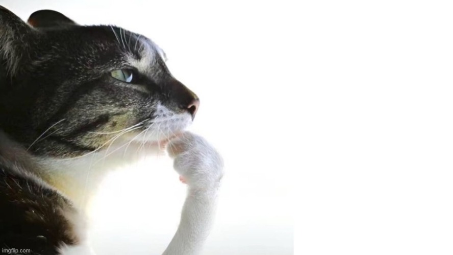 Thinker | image tagged in thinker | made w/ Imgflip meme maker