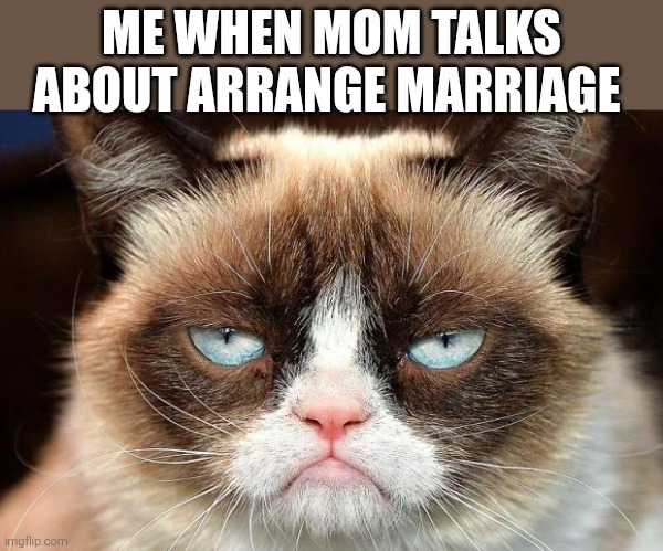 just let me die alone | ME WHEN MOM TALKS ABOUT ARRANGE MARRIAGE | image tagged in memes,grumpy cat not amused,grumpy cat,marriage | made w/ Imgflip meme maker
