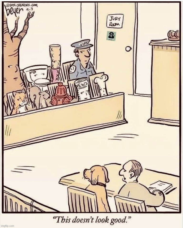 Rigged jury | image tagged in repost,rigged jury | made w/ Imgflip meme maker