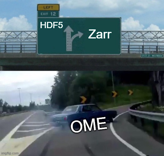 Hopefully the right choice | HDF5; Zarr; OME | image tagged in memes,left exit 12 off ramp,image format | made w/ Imgflip meme maker