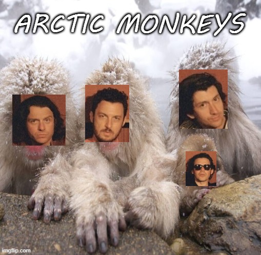 Arctic Monkeys | ARCTIC MONKEYS | image tagged in lol,music,monkeys | made w/ Imgflip meme maker