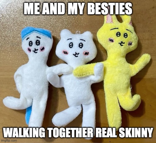 Chiikawa Besties | ME AND MY BESTIES; WALKING TOGETHER REAL SKINNY | image tagged in chiikawa,funny,meme,besties | made w/ Imgflip meme maker