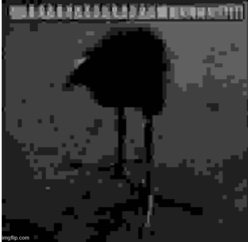 monthly shit quality image | image tagged in daaaaaaaamnn low quality | made w/ Imgflip meme maker