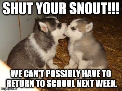 Cute Puppies Meme | SHUT YOUR SNOUT!!! WE CAN'T POSSIBLY HAVE TO RETURN TO SCHOOL NEXT WEEK. | image tagged in memes,cute puppies | made w/ Imgflip meme maker