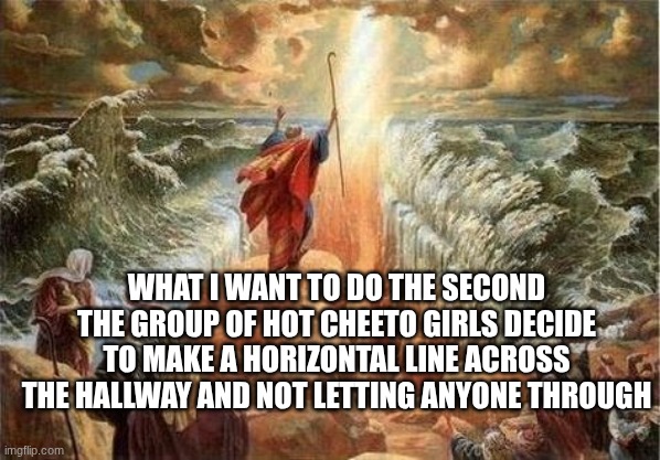 honestly | WHAT I WANT TO DO THE SECOND THE GROUP OF HOT CHEETO GIRLS DECIDE TO MAKE A HORIZONTAL LINE ACROSS THE HALLWAY AND NOT LETTING ANYONE THROUGH | image tagged in moses parts the red sea,memes,hot cheeto,funny | made w/ Imgflip meme maker