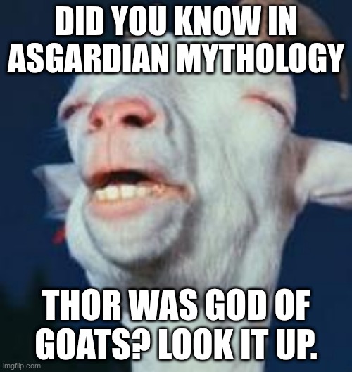 goat | DID YOU KNOW IN ASGARDIAN MYTHOLOGY; THOR WAS GOD OF GOATS? LOOK IT UP. | image tagged in goat | made w/ Imgflip meme maker