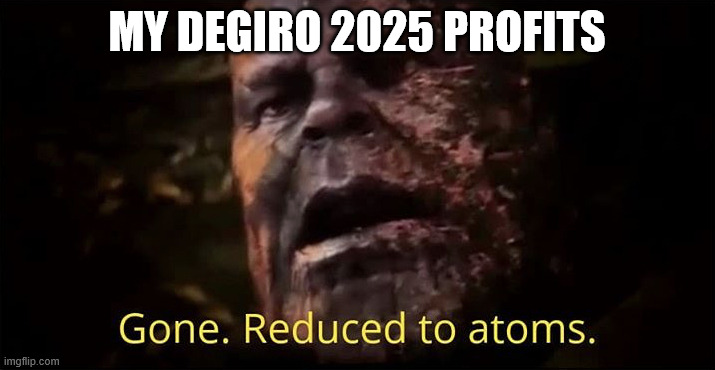 Not stonks!! | MY DEGIRO 2025 PROFITS | image tagged in thanos gone reduced to atoms,money,investing,stock market,personal finance | made w/ Imgflip meme maker