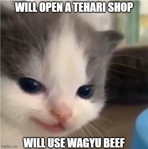 stonks business idea | WILL OPEN A TEHARI SHOP; WILL USE WAGYU BEEF | image tagged in hehe cat | made w/ Imgflip meme maker
