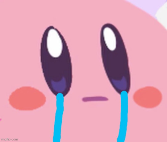 Blank Kirby Face | image tagged in blank kirby face | made w/ Imgflip meme maker