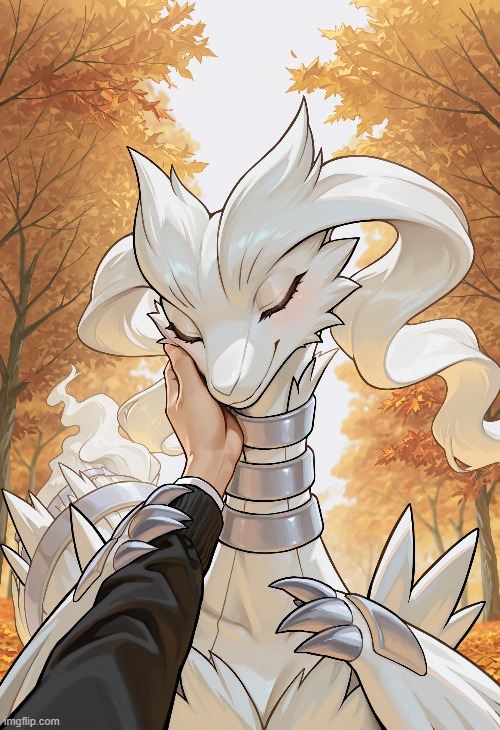 on a scale of one to ten, how wholesome is this? | image tagged in pokemon,reshiram,affection | made w/ Imgflip meme maker