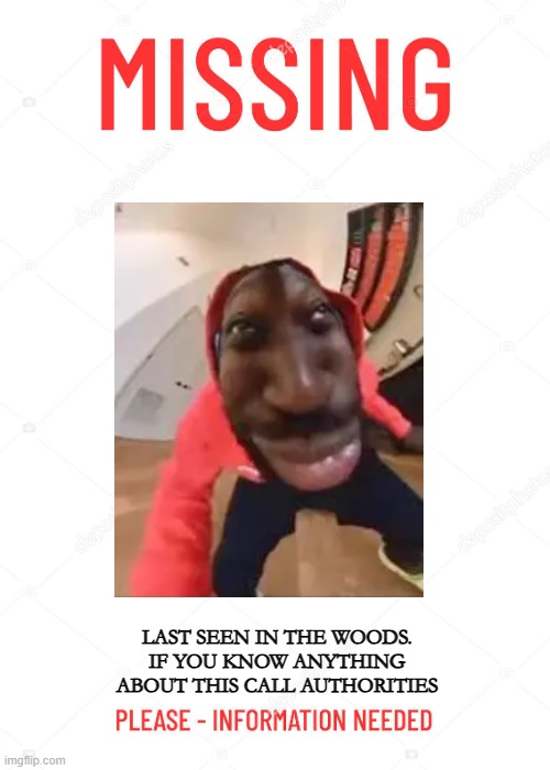 fun | LAST SEEN IN THE WOODS. IF YOU KNOW ANYTHING ABOUT THIS CALL AUTHORITIES | image tagged in missing poster | made w/ Imgflip meme maker