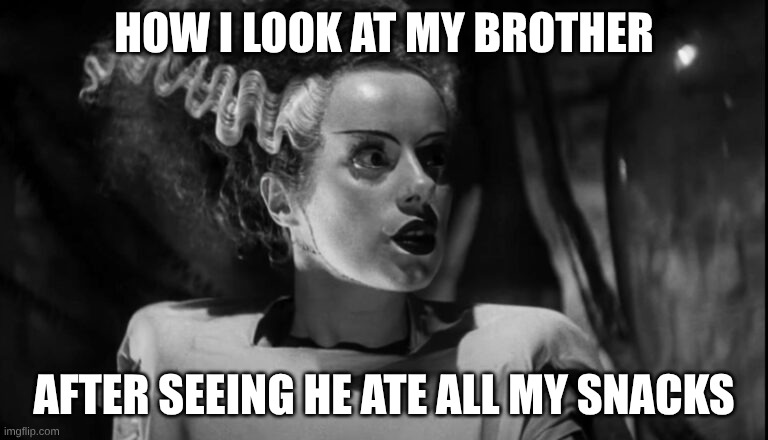 bride of Frankenstein | HOW I LOOK AT MY BROTHER; AFTER SEEING HE ATE ALL MY SNACKS | image tagged in bride of frankenstein | made w/ Imgflip meme maker