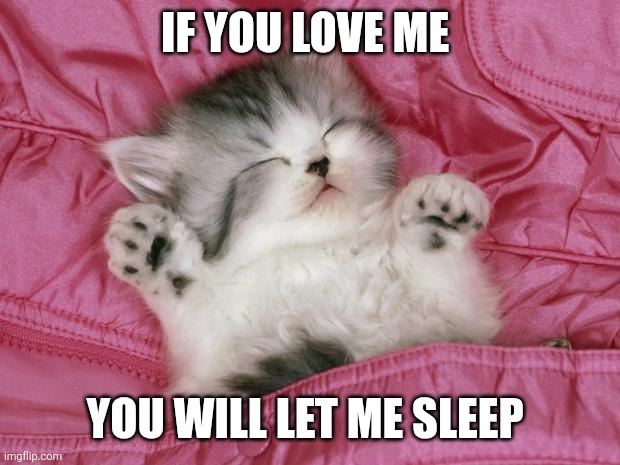 Let me sleep | IF YOU LOVE ME; YOU WILL LET ME SLEEP | image tagged in kitten sleeping | made w/ Imgflip meme maker