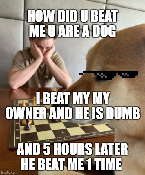 dog beat owner | HOW DID U BEAT ME U ARE A DOG; I BEAT MY MY OWNER AND HE IS DUMB; AND 5 HOURS LATER HE BEAT ME 1 TIME | image tagged in chess doge | made w/ Imgflip meme maker