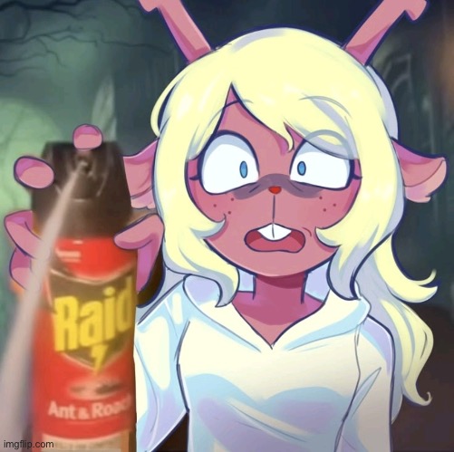 Noelle raid | image tagged in noelle raid | made w/ Imgflip meme maker