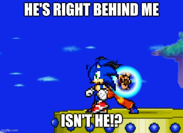 NO! SONIC NOOOOO!!! | HE'S RIGHT BEHIND ME; ISN'T HE!? | image tagged in no sonic nooooo | made w/ Imgflip meme maker