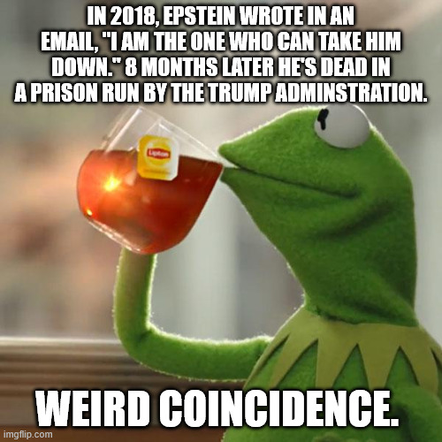 But That's None Of My Business | IN 2018, EPSTEIN WROTE IN AN EMAIL, "I AM THE ONE WHO CAN TAKE HIM DOWN." 8 MONTHS LATER HE'S DEAD IN A PRISON RUN BY THE TRUMP ADMINSTRATION. WEIRD COINCIDENCE. | image tagged in memes,but that's none of my business,kermit the frog | made w/ Imgflip meme maker