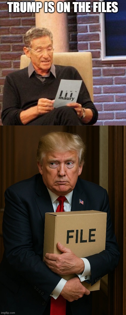 He has the files | TRUMP IS ON THE FILES | image tagged in memes,maury lie detector | made w/ Imgflip meme maker