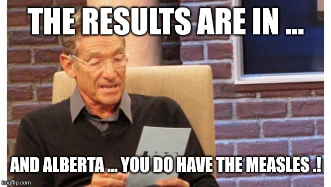 Canadian politics | image tagged in political meme | made w/ Imgflip meme maker