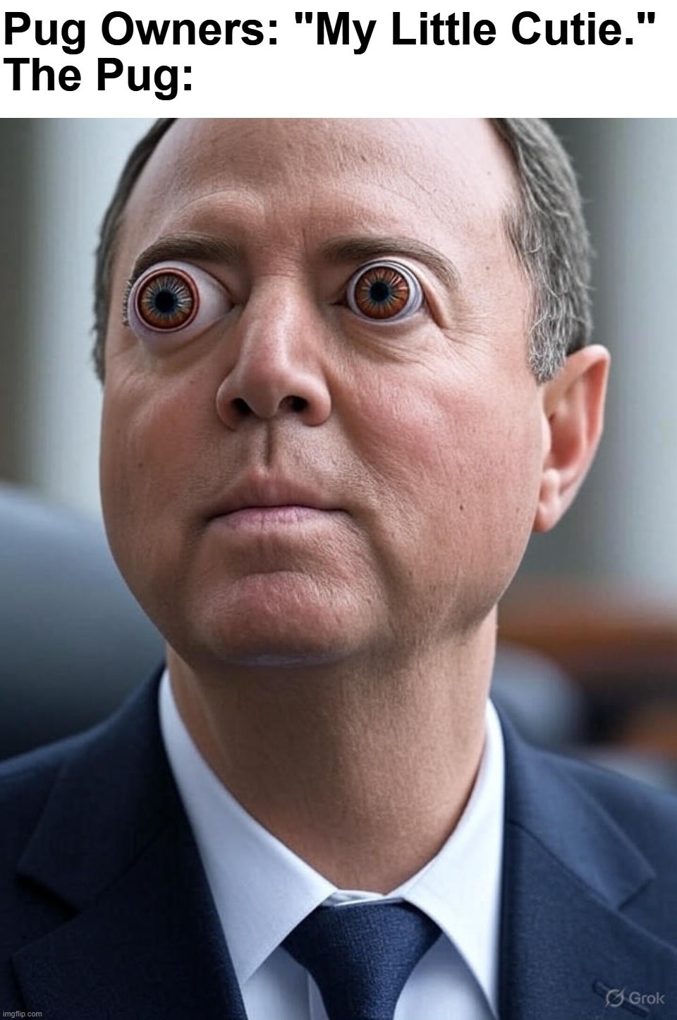 Pug Owners Group | image tagged in introspective pug,sad pug,pugs,adam schiff,bug eyed,pug life | made w/ Imgflip meme maker