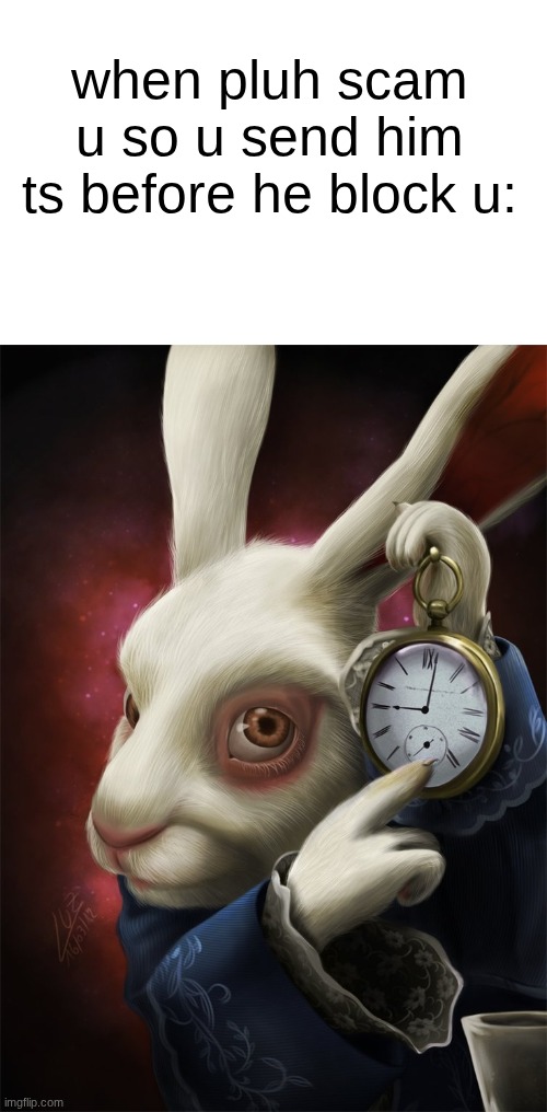 White Rabbit Pointing at a Clock | when pluh scam u so u send him ts before he block u: | image tagged in white rabbit pointing at a clock | made w/ Imgflip meme maker