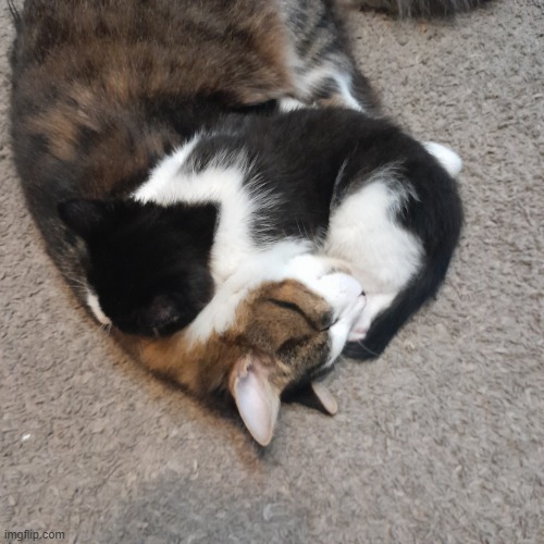 us? | made w/ Imgflip meme maker