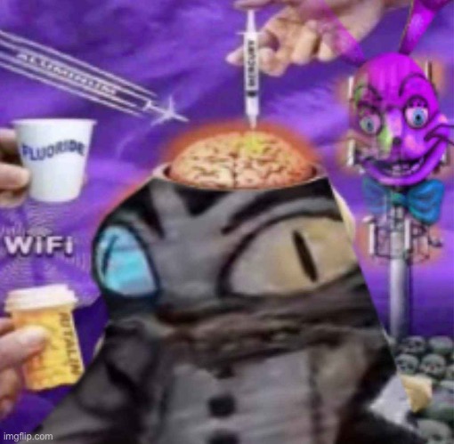 leaked image of how edwin made the mimic | made w/ Imgflip meme maker