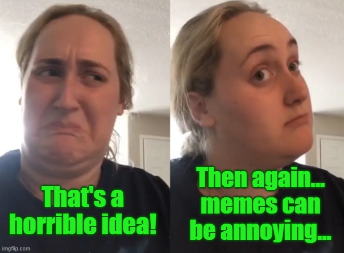 Brittany Tomlinson, Kombucha Girl | That's a horrible idea! Then again... memes can be annoying... | image tagged in brittany tomlinson kombucha girl | made w/ Imgflip meme maker