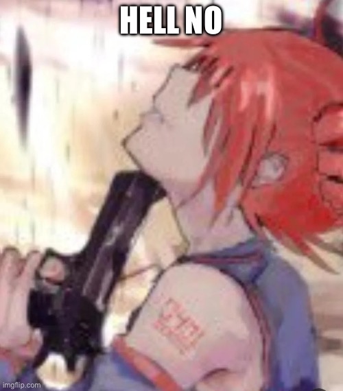 Teto kys | HELL NO | image tagged in teto kys | made w/ Imgflip meme maker