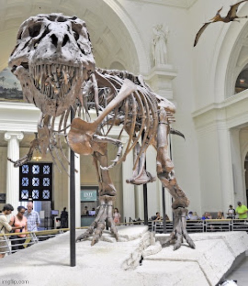 we have arrived at the museum | made w/ Imgflip meme maker