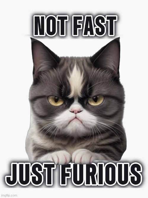 Kitty cat | image tagged in grumpy cat,67 | made w/ Imgflip meme maker