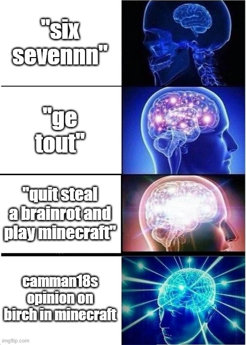 Expanding Brain Meme | "six sevennn" "ge tout" "quit steal a brainrot and play minecraft" camman18s opinion on birch in minecraft | image tagged in memes,expanding brain | made w/ Imgflip meme maker