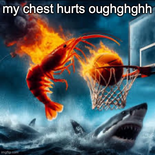 Ballin shrimp | my chest hurts oughghghh | image tagged in ballin shrimp | made w/ Imgflip meme maker