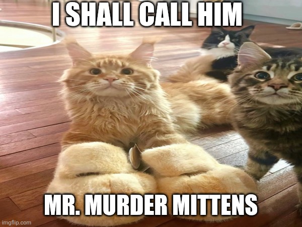 Big Cat Energy | I SHALL CALL HIM; MR. MURDER MITTENS | image tagged in cute cat,metal gear solid,heavy metal | made w/ Imgflip meme maker