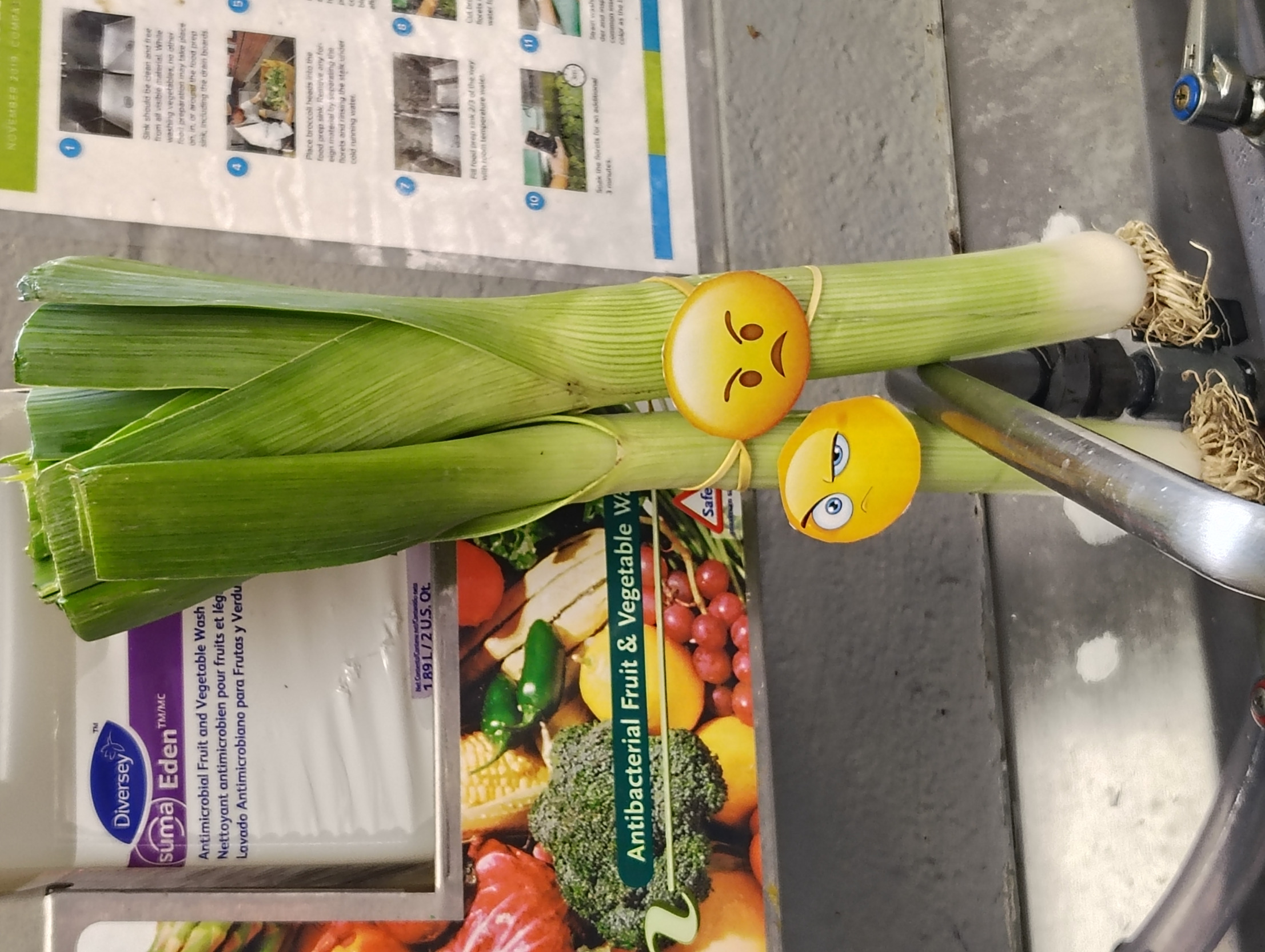 Serious Leeks Blank Meme Template