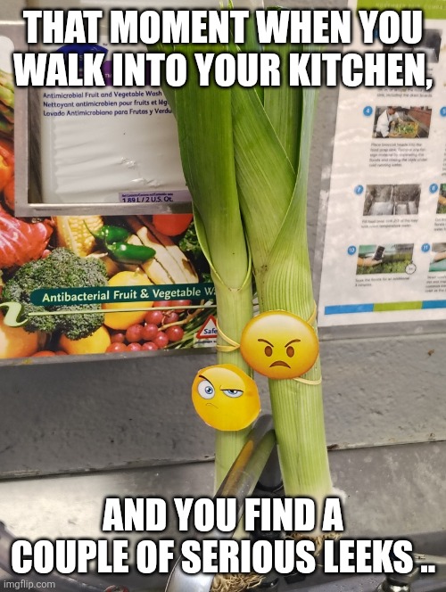 Serious Leeks | THAT MOMENT WHEN YOU WALK INTO YOUR KITCHEN, AND YOU FIND A COUPLE OF SERIOUS LEEKS .. | image tagged in serious leeks | made w/ Imgflip meme maker